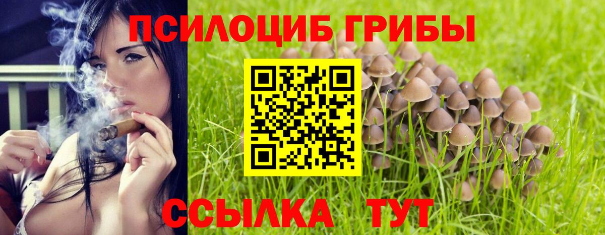 Псилоцибиновые грибы мицелий Асино
